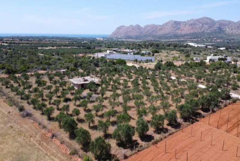 Mouzouras Kreta, Mouzouras: Flaches Grundstück mit Panoramablick zu verkaufen Grundstück kaufen